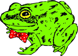 Vector illustration of hand drawn sketched frog 
