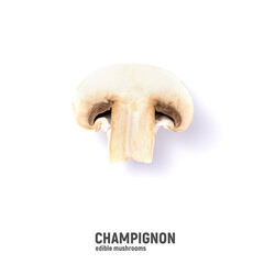Fototapeta premium Champignon mushrooms, isolated on a white background.