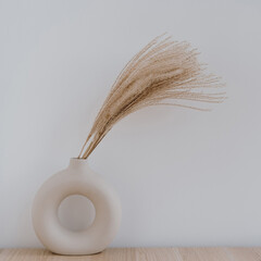 Fluffy pampas grass / reed in stylish vase against white wall. Minimal interior decoration. Styled...