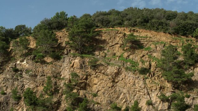 Rocky hill with Mediterranean trees