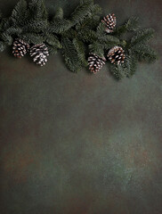 Fluffy fir branch on a green background. New year background for greeting cards and greetings. Christmas background. The horizontal frame. Copy space.