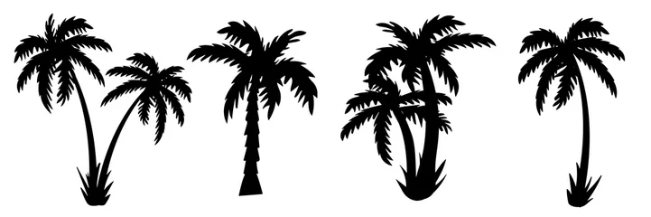 Foto op Canvas palm tree Silhouettes of palm trees. vector © bleskk