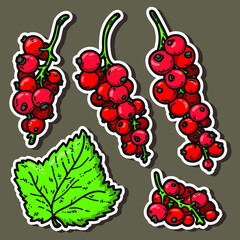 Vector stickers set of cute hand drawn colorful currant