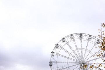 Fototapeta premium Modern white Ferris wheel in the central park against sky. Entertainment, attraction, amusement park, minimal concept or background.