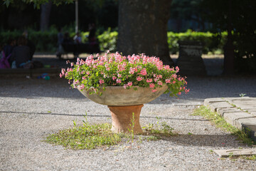 Fototapeta na wymiar Large Clay Vase full of Pink Flowers and Green leaves