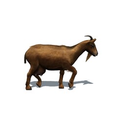 Farm animals - goat with shadow on the floor - isolated on white background - 3D illustration