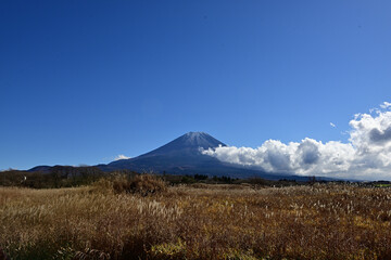 Obraz premium weather suggestive of autumn
