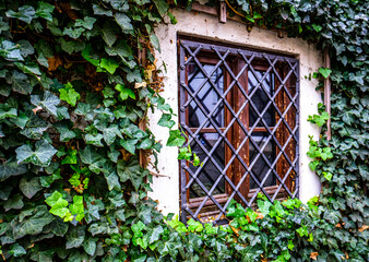 old window at a facade