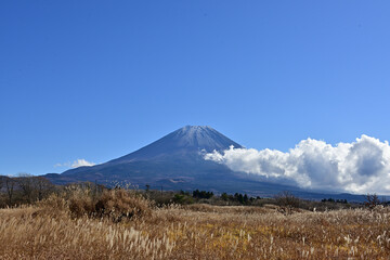 Fototapeta premium weather suggestive of autumn