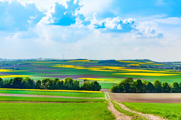 Rural road across agricultural field in Germany over hills during sunny summer day
