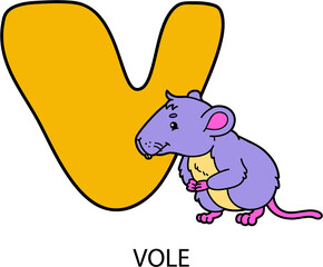 Vector illustration of educational alphabet card with cartoon animal for kids