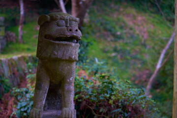 komainu at shrine, kumamoto, japan