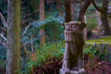 komainu at shrine, kumamoto, japan