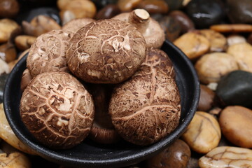 Shiitake mushroom on stone background
