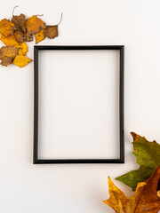 Minimal concept. Dry leaves on a white backdrop with a picture frame.