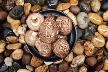 Shiitake mushroom on stone background