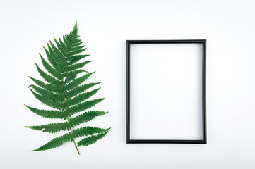 Minimal concept green leaves frame. Flat lay photo of a green leaf. Frame of the leaves.