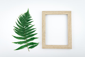 Minimal concept green leaves frame. Flat lay photo of a green leaf. Frame of the leaves.