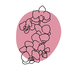 Abstract one line orchids flower. Botanical contour drawing. Organic shape background. Modern minimal art illustration. Elegant continuous line poster for Scandinavian style interior.