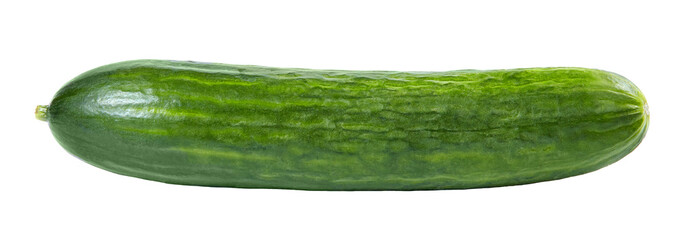 Fresh ripe cucumber isolated on white.