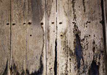 Wood wall texture