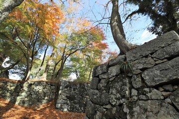 高取城の紅葉