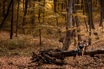 Two young hikers with backpack sitting on collapsed trunk resting and drinking tea after walking in forest.