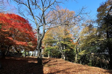 高取城の紅葉