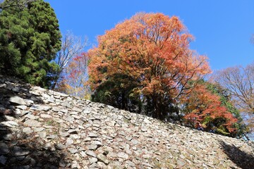 高取城の紅葉