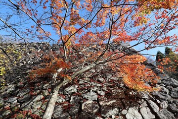 高取城の紅葉