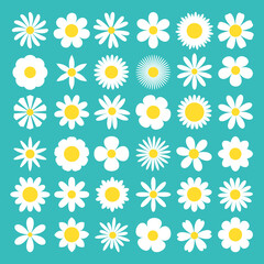 White daisy chamomile icon. Camomile super big set. Cute round flower head plant nature collection. Decoration element. Love card symbol. Growing concept. Flat design. Isolated. Green background.