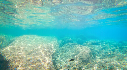 Naklejka na ściany i meble Underwater view of Alghero shore's rocky seabed