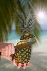 Männerhand mit Messer durchtrennt eine saftige Ananas