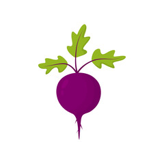 Ripe beet fresh icon. Healthy food tasty symbol. Vector isolated on white.