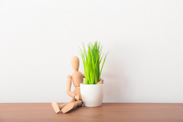Wooden mannequin with houseplant on table against light background