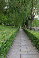 A trimmed green belt in the park