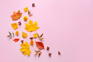 Composition with autumn leaves on color background