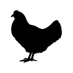Chicken or hen black silhouette. Farm bird icon. Poultry symbol. Vector illustration.