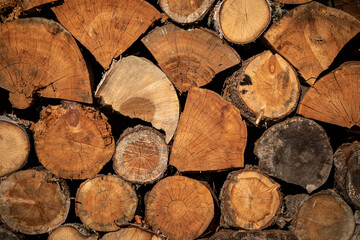  Close-up of a saw cut from a tree.Wooden texture. Close up tree rings. Wood texture background with rings and cracks.