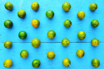 Yellow green calamansi, calamondin or philippine lime tropical fruit pattern in bright blue wood background. Asian summer citrus fruits flat lay composition.