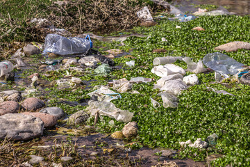 Plastic trash in an overgrown stream. Environmental disaster.