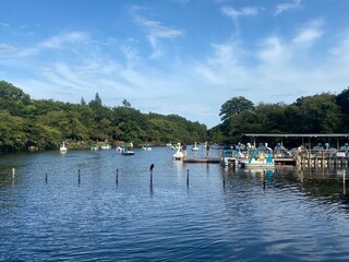 井の頭公園の池