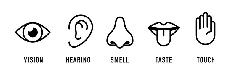 Icon set of five human senses