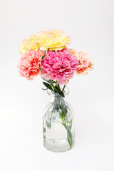 色とりどりなカーネーション