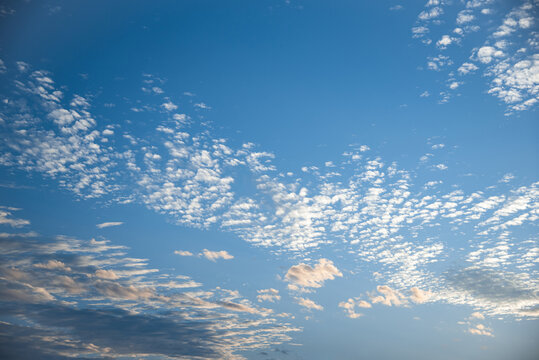 秋の始まりのうろこ雲の空