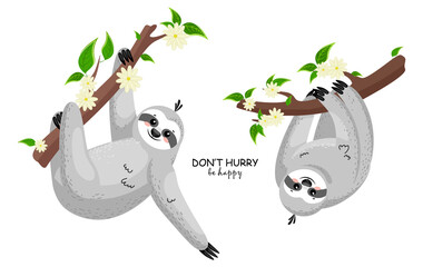 Cartoon sloths family. Cute baby sloth sleeping on the grass among flowers and leaves. © SERHII