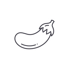 Eggplant icon, linear isolated illustration, thin line vector, web design sign, outline concept symbol with editable stroke on white background.