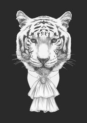Portrait of Aristocrat Tiger. Hand-drawn illustration.