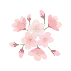 桜　花びら　水彩　手描き
