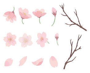 桜　花びら　枝　水彩　手描き　セット

